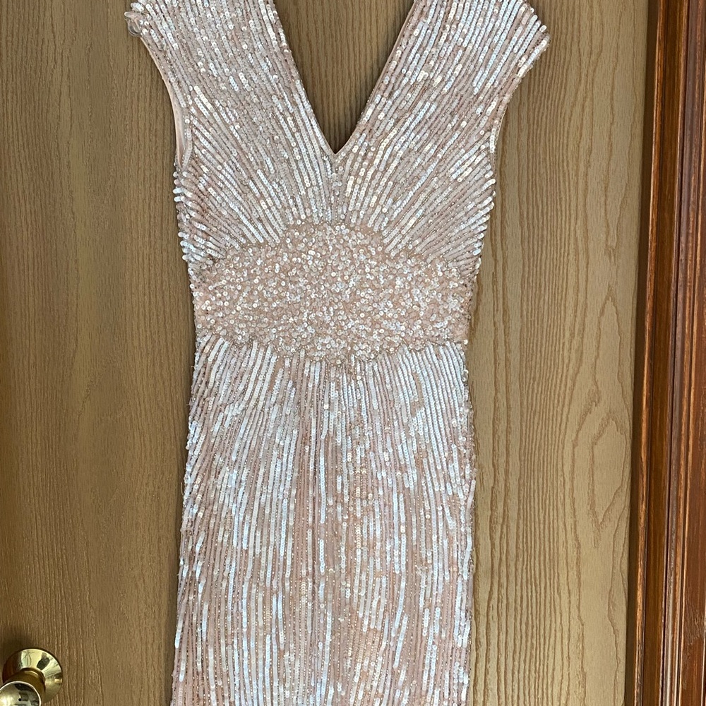 Parker, Blush Sequin Dress, Size 6